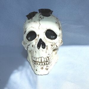 Skull Shot Holder